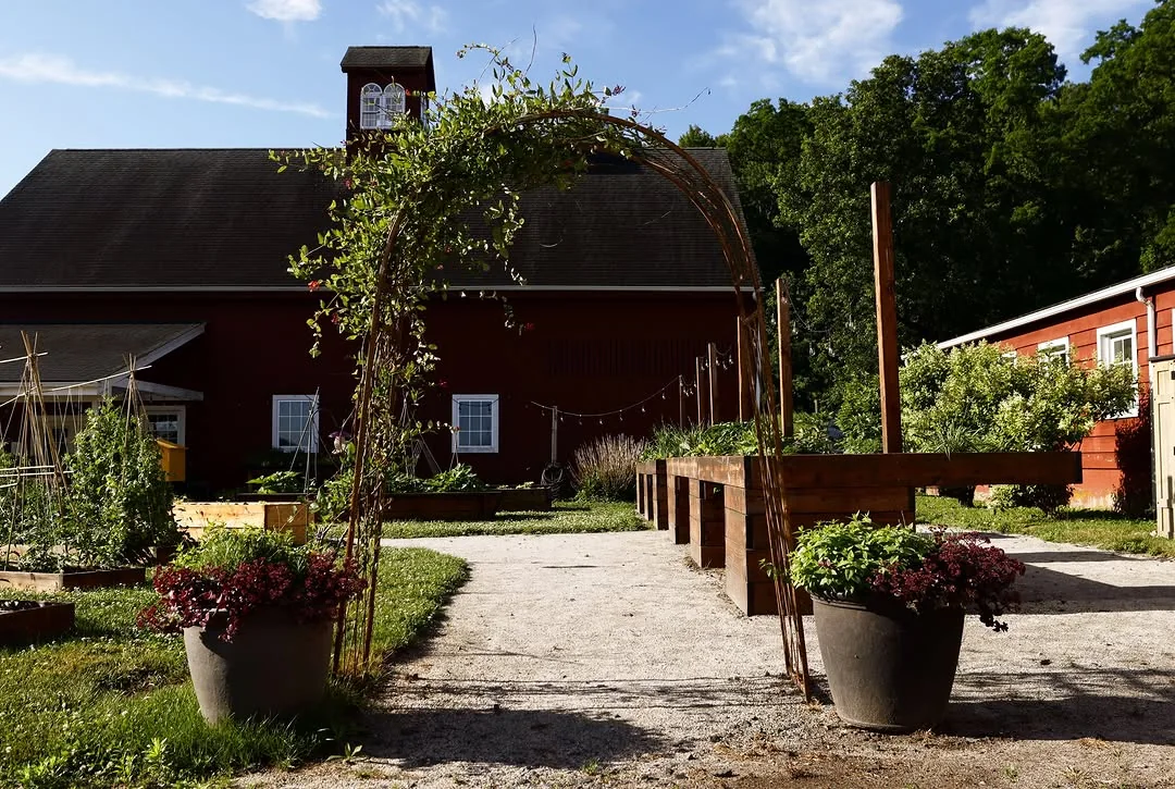 The garden entrance at Sub Edge Farm